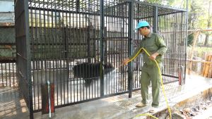 “Mái nhà” của động vật hoang dã