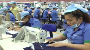 Phối kết hợp xử lý nợ bảo hiểm