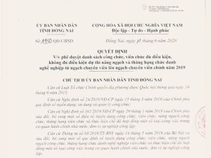 118 công chức, viên chức đủ điều kiện dự thi nâng ngạch