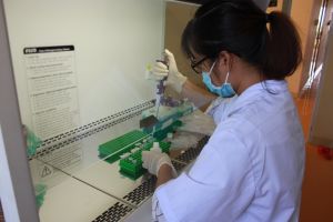 Đồng Nai được xét nghiệm dịch tả heo châu Phi