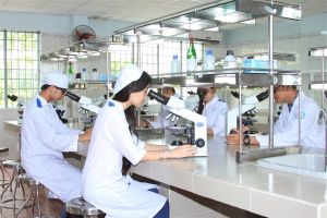 Đa dạng hình thức xét tuyển vào đại học