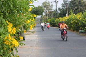 Chủ động hoàn thành mục tiêu nông thôn mới nâng cao