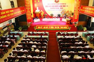 KHAI MẠC ĐẠI HỘI ĐẠI BIỂU ĐẢNG BỘ KHỐI CÁC CƠ QUAN TỈNH LẦN THỨ IX, NHIỆM KỲ 2020 – 2025