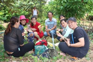 Nhà vườn làm du lịch