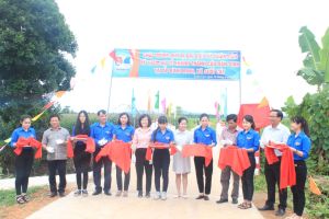 Phấn đấu hoàn thành 10 chỉ tiêu trong chiến dịch thanh niên tình nguyện hè