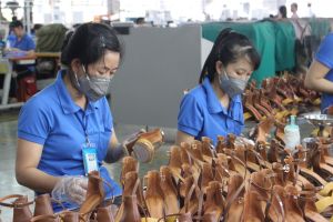 Doanh nghiệp đón đầu xu thế hội nhập