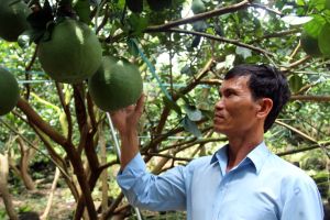 Huyện Tân Phú: Xác định những nhiệm vụ trọng tâm để phát triển bền vững