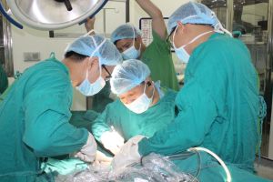 Hiệu quả từ phong trào thi đua, khen thưởng