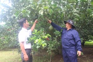 Xây dựng nông thôn mới điểm nhấn của Đảng bộ H.Vĩnh Cửu