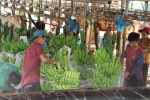 Huyện vùng sâu  thay "áo mới"