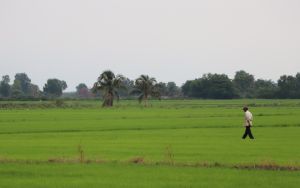 Huyện Tân Phú tạo đột phá cho ngành nông nghiệp