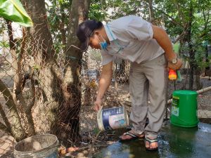 Gia tăng ca bệnh sốt xuất huyết