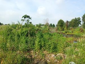 Quy hoạch sử dụng đất cấp huyện có thể lập đồng thời với quy hoạch tỉnh thời kỳ 2021-2030, kế hoạch sử dụng đất cấp tỉnh thời kỳ 2021-2025.