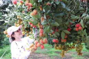 Phát triển sản xuất an toàn