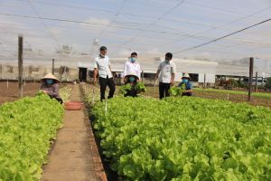 Huy động sức mạnh cuộc vận động “Toàn dân đoàn kết xây dựng nông thôn mới, đô thị văn minh”