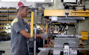 2 mặt hàng doanh nghiệp nhập khẩu nhiều nhất