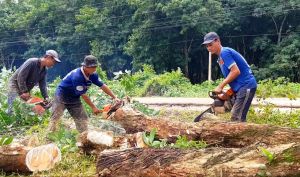 Tạo lập mặt bằng phục vụ xây dựng sân bay Long Thành