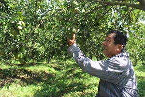 Nông thôn mới kiểu mẫu chưa là kết thúc