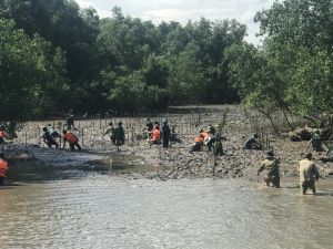 Nhiều kết quả ấn tượng về môi trường