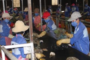 Tập trung hoàn thành các chỉ tiêu về môi trường