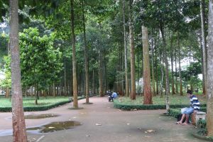 Sắc xanh trên thành phố trẻ Long Khánh