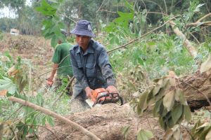 Thực hiện đúng cam kết bàn giao mặt bằng xây dựng sân bay Long Thành giai đoạn 1