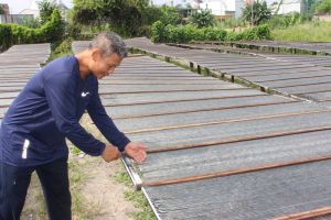 Phát triển nghề làm miến ở Biên Hòa