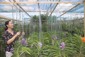 Phụ nữ xây dựng nông thôn mới