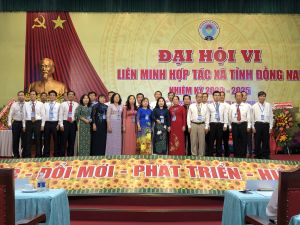 Liên minh Hợp tác xã Đồng Nai đại hội lần thứ VI, nhiệm kỳ 2020 - 2025