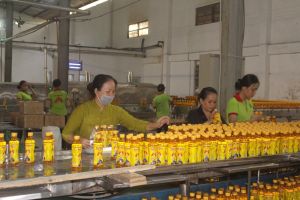 Đồng Nai xây dựng môi trường kinh doanh liêm chính cho doanh nghiệp