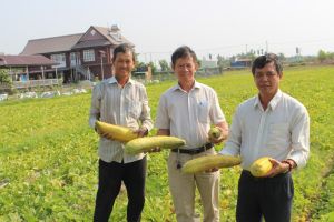 Long Thành phấn đấu hoàn thành nhiệm vụ xây dựng nông thôn mới nâng cao vào năm 2024