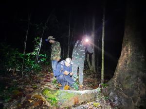 Hoàn thiện mạng lưới quan trắc môi trường