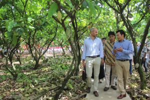 Nâng tầm các vùng chuyên canh