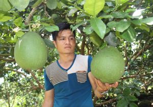 Chủ động nguồn vốn tín dụng phục vụ sản xuất