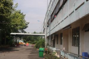 Hai trường hợp F1 của bệnh nhân 1342 âm tính với SARS-CoV-2