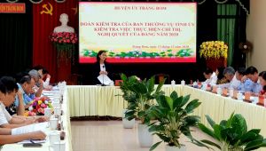 Kiểm tra thực hiện nghị quyết, chỉ thị của Đảng tại một số huyện ủy, thành ủy