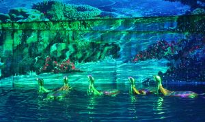 Nhà hát Nghệ thuật Đồng Nai diễn báo cáo chương trình múa rối nước