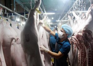 Xây dựng mạng lưới cơ sở giết mổ động vật trên địa bàn tỉnh