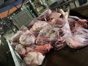 Phát hiện hơn 2 tấn thịt và nội tạng heo lậu