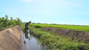 Bảo vệ nguồn nước cho sản xuất nông nghiệp