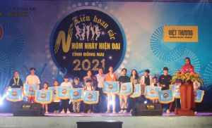 Trao 30 giải Liên hoan các nhóm nhảy hiện đại tỉnh Đồng Nai 2020