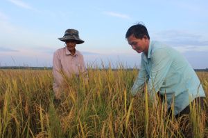Đồng Nai còn hơn 463 ngàn ha đất nông nghiệp