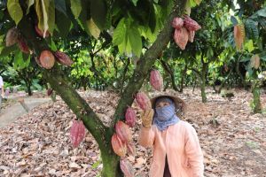 Nhiều chính sách ưu đãi cho nông nghiệp, nông thôn