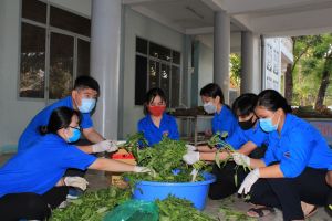 Chú trọng xây dựng tổ chức Đoàn