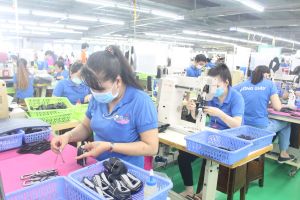 Nhiều công nhân huỷ chương trình Chuyến xe sum vầy về tết