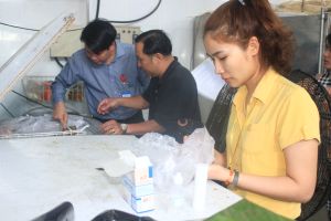 Đảm bảo an toàn thực phẩm dịp Tết Nguyên đán