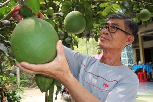 Đặc sản vùng đất Phú Hội