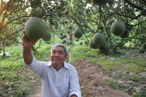 Những đôi tay vàng trồng đặc sản