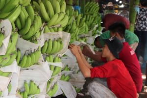 Tính bài toán thị trường cho nông sản