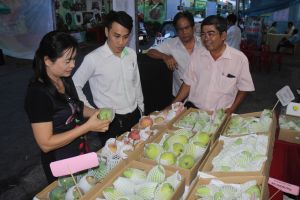 Diện tích cây ăn trái được cấp mã số vùng trồng xuất khẩu tăng nhanh